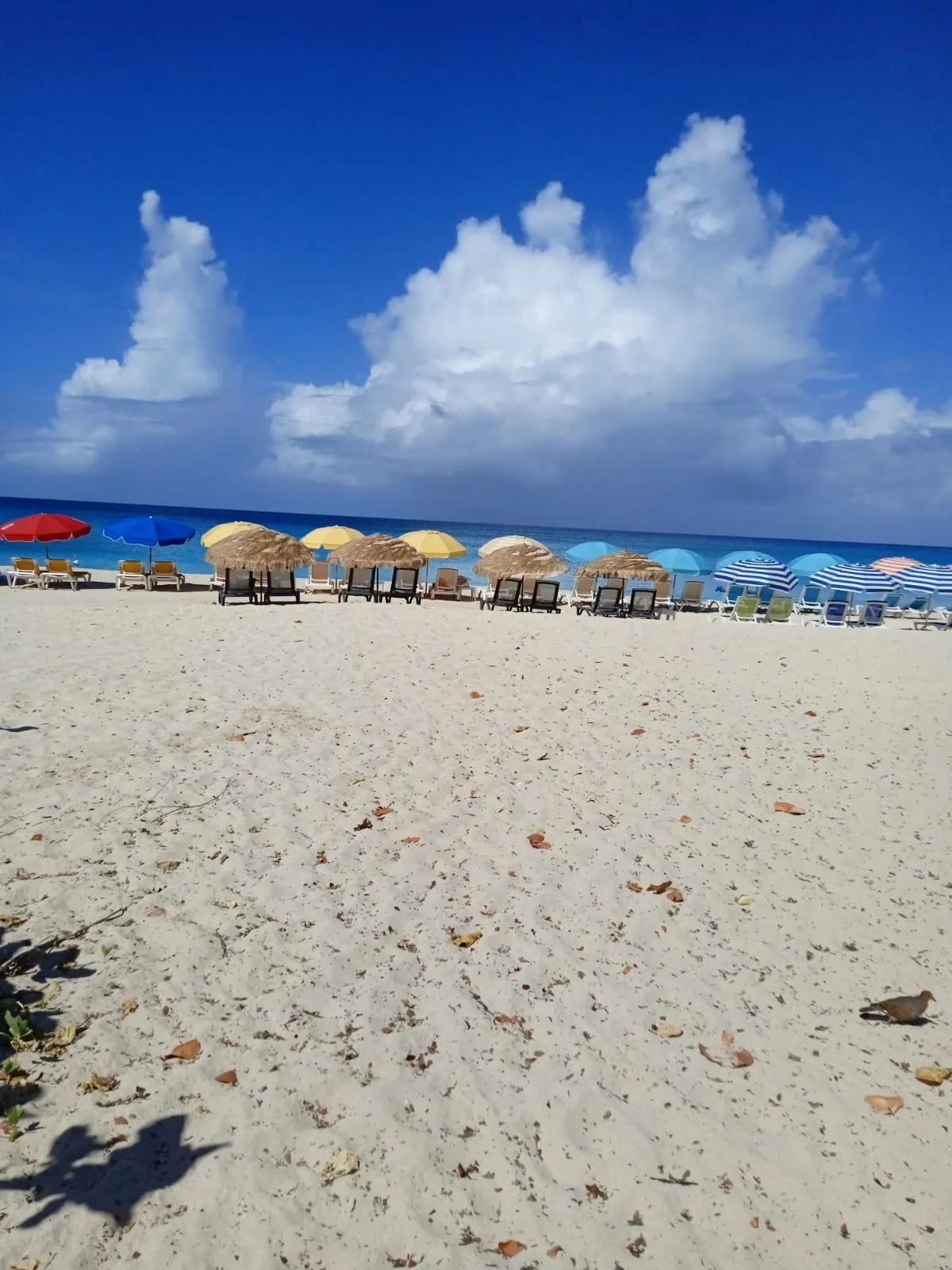 Colorful beach umbrellas along a white sand Caribbean beach