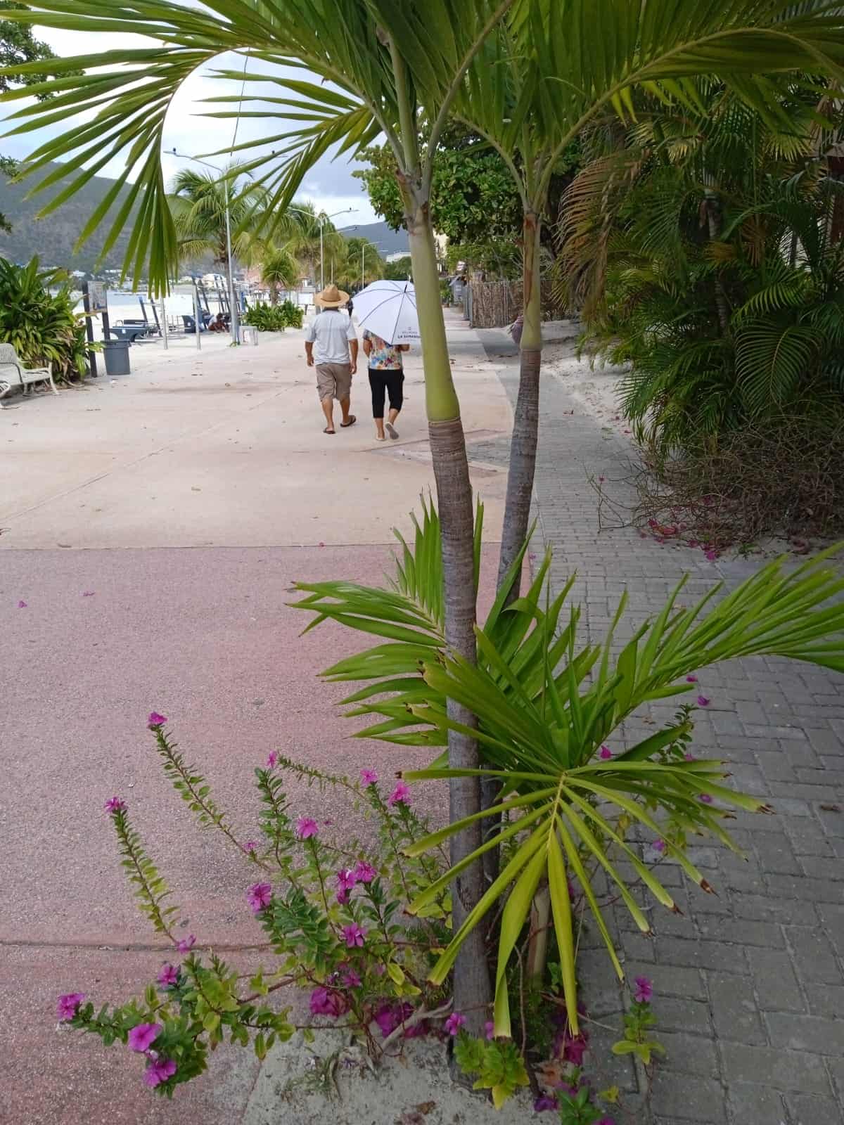 St Maarten Private Van